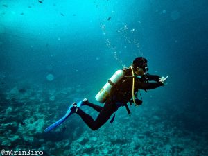 Cero Divers buceo en Colombia, destino Malpelo 10 días y 7 días de Buceo / Malpelo 9 días y 6 días de Buceo